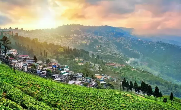 best time to visit Darjeeling India, best time to visit Darjeeling, 