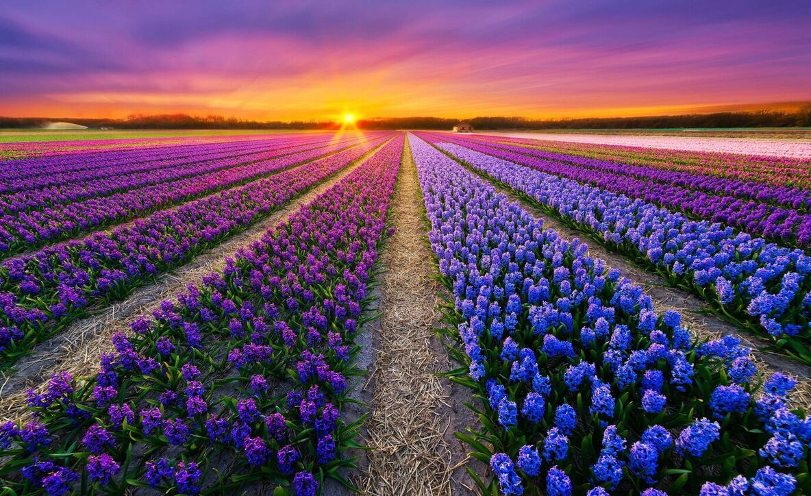 valley of flower tour package